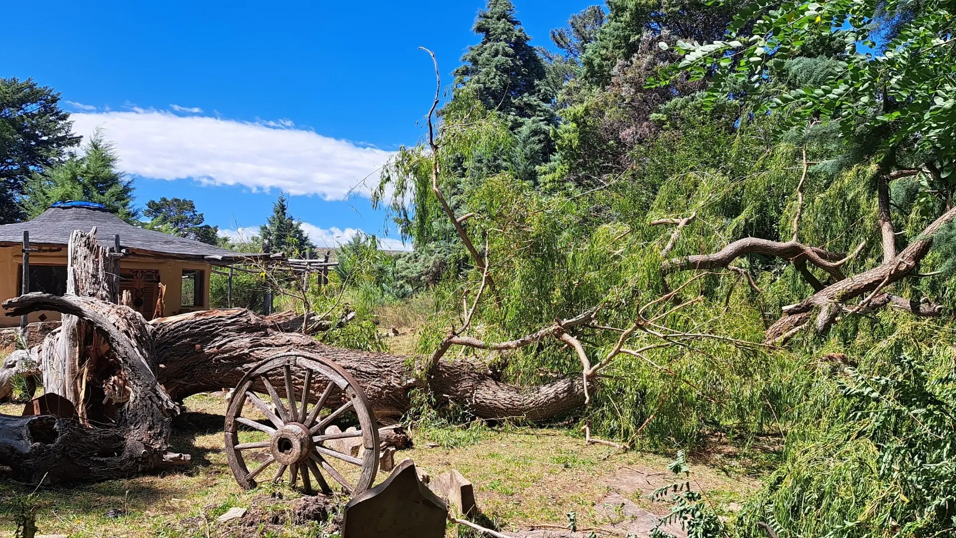 imgi_5_KarooRest-Karoo-EC-ZA-The-Space-Venue-Hire